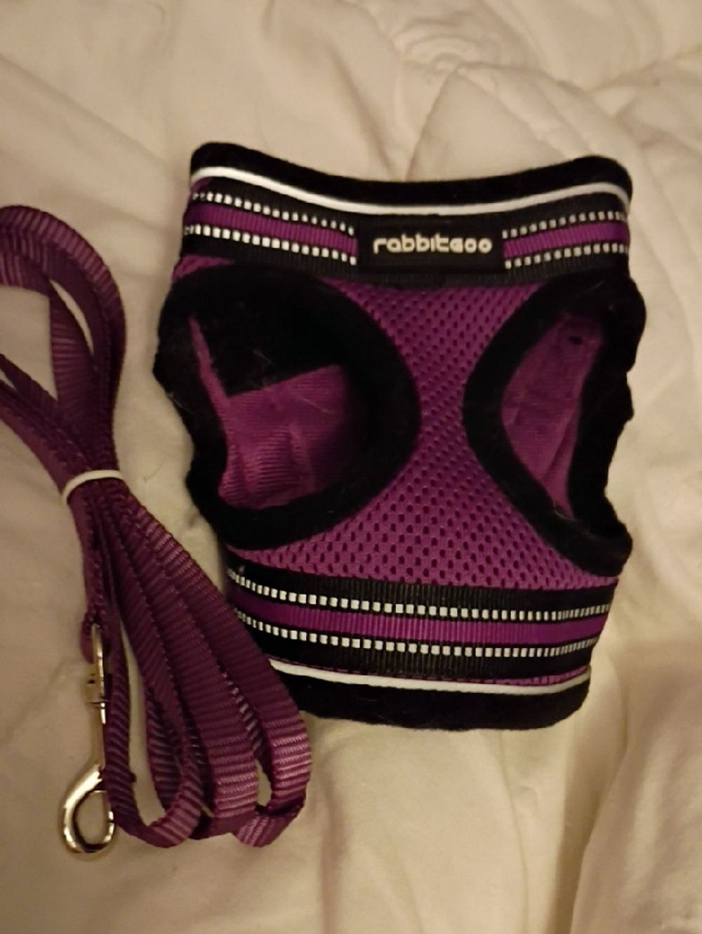 rabbitgoo Purple Mesh small Dog Or Cat Harness with Matching Leash